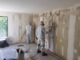 Why You Should Choose Our Mold Remediation Services in Millington, NJ